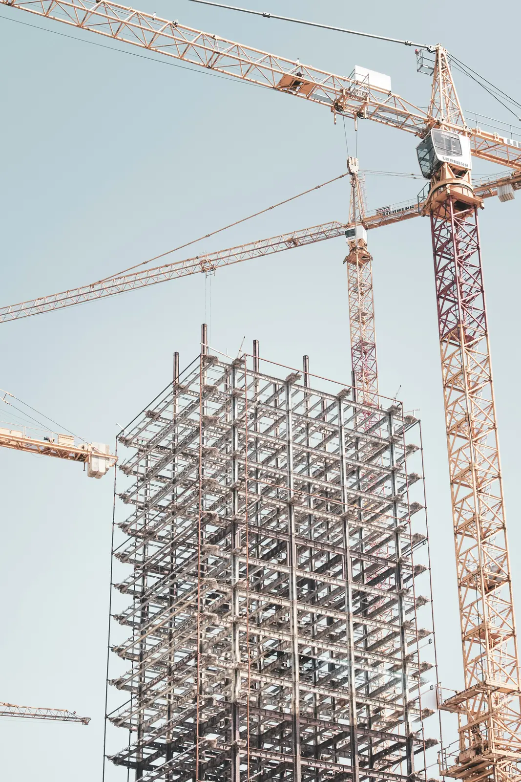 Structural steel frame of a commercial building beside tower cranes